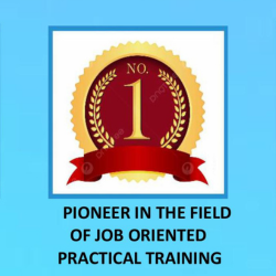 Pioneer