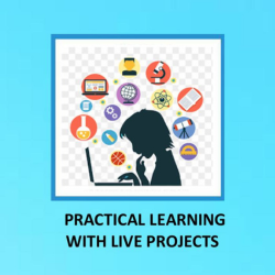 Live Projects
